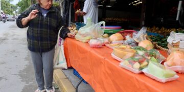 Pide gobierno de Puerto Morelos a la población tomar precauciones ante descenso de la temperatura