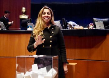 Avala Marybel Villegas la Ley General de Mecanismos Alternativos de Solución de Controversias