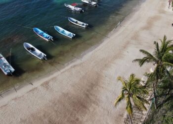 Playa del Carmen, ejemplo en recolección de sargazo y recuperación de arenales
