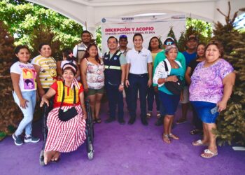 Un éxito el programa de Recepción y Acopio de Árboles Navideños en Isla Mujeres
