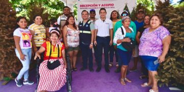 Un éxito el programa de Recepción y Acopio de Árboles Navideños en Isla Mujeres