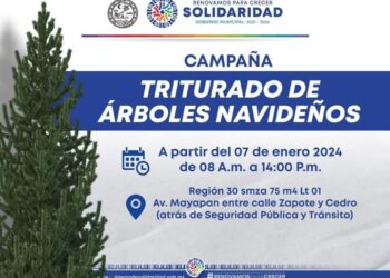 Invitan a participar en la campaña “Triturado de Árboles Navideños” de Playa del Carmen
