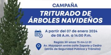 Invitan a participar en la campaña “Triturado de Árboles Navideños” de Playa del Carmen