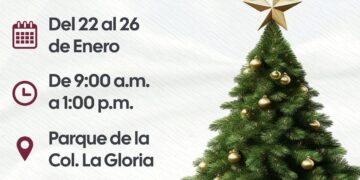 Gobierno de Isla Mujeres abrirá centro de acopio para árboles de Navidad