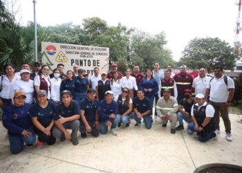 Arranca gobierno de Benito Juárez acopio de árboles de navidad