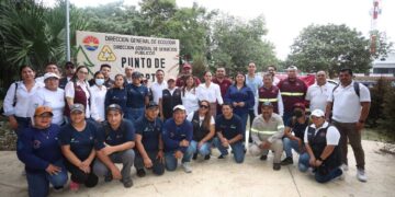 Arranca gobierno de Benito Juárez acopio de árboles de navidad