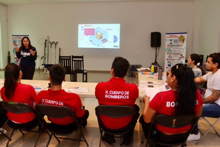 Imparten curso “Manejo y bienestar animal para primeros respondientes” en Puerto Morelos