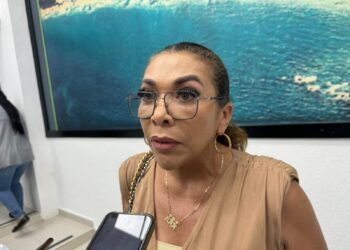 Diputados que abandonan al PT fueron candidatos de ‘momento e intereses’: Lorena Martínez Bellos