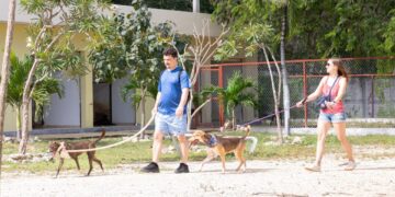 Atención integral a mascotas en Playa del Carmen