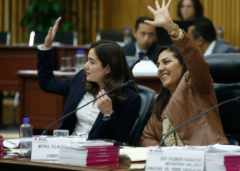 Consejera defiende labor de la Comisión de Quejas del INE