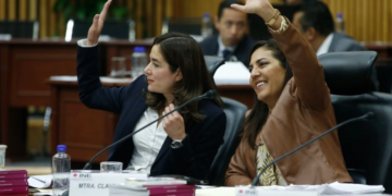 Consejera defiende labor de la Comisión de Quejas del INE