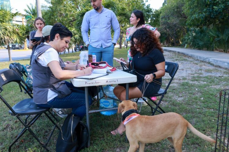 Gobierno de Cancún fomenta cuidado responsable de los animales