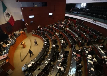 MC en el Senado, dispuesto a aprobar 11 de 20 iniciativas de reforma de AMLO