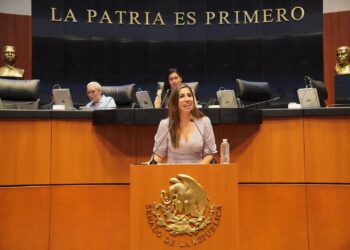 Pide Marybel Villegas licencia ante el Senado