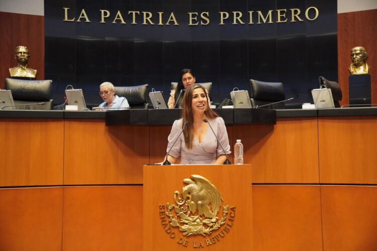 Pide Marybel Villegas licencia ante el Senado
