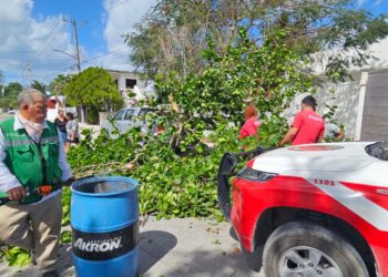 Bomberos atienden problemas causados por fuertes vientos en Puerto Morelos