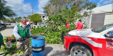 Bomberos atienden problemas causados por fuertes vientos en Puerto Morelos