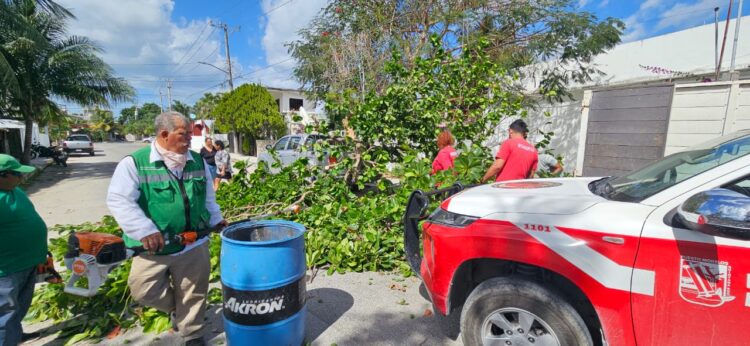 Bomberos atienden problemas causados por fuertes vientos en Puerto Morelos