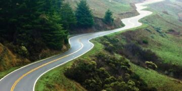 Algunos rolas de mi vida