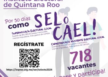 Ofrece IEQROO 718 empleos con sueldos de 15 mil 785 pesos y 12 mil pesos brutos mensuales