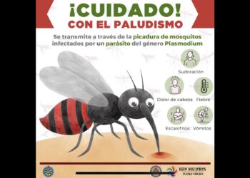 Refuerzan acciones para prevención y detección del paludismo en Isla Mujeres