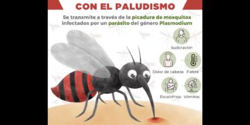 Refuerzan acciones para prevención y detección del paludismo en Isla Mujeres