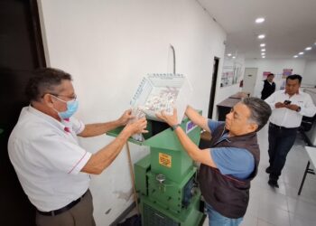 Destruye INE Quintana Roo más de 700 credenciales para votar con fotografía