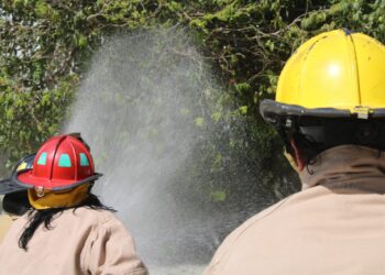 Buscan prevenir incendios forestales durante temporada de sequía en Puerto Morelos