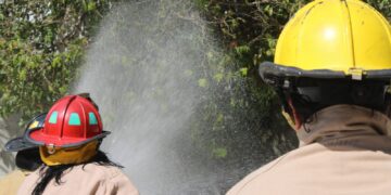 Buscan prevenir incendios forestales durante temporada de sequía en Puerto Morelos