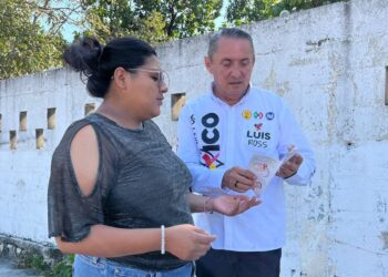 Incentivos fiscales para PYME's: Luis Ross