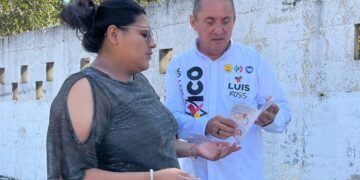 Incentivos fiscales para PYME's: Luis Ross