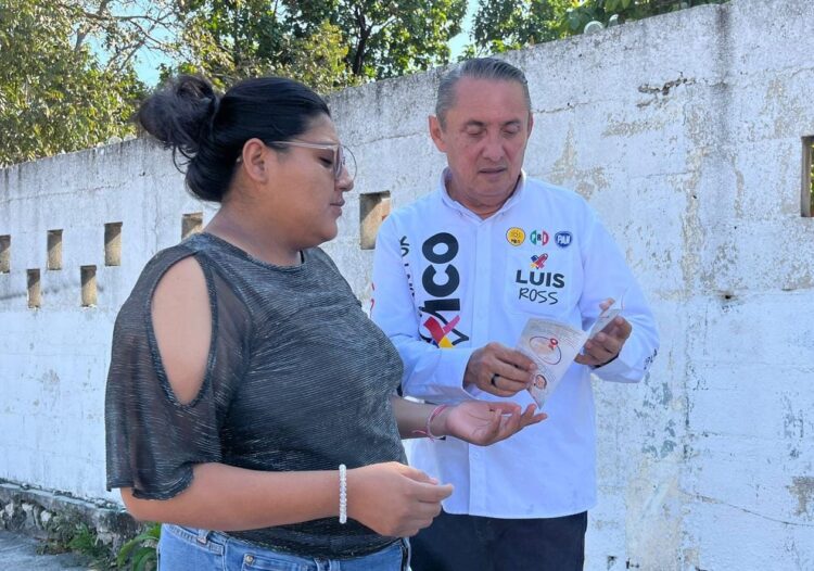 Incentivos fiscales para PYME's: Luis Ross