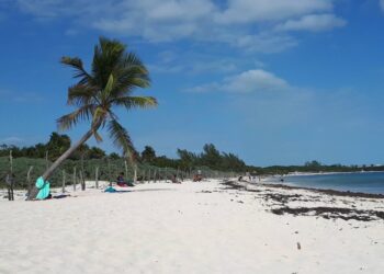 Obras de CFE no deben atentar contra derechos de ciudadanos: Lili Campos