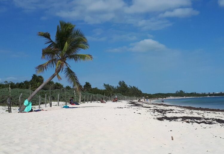 Obras de CFE no deben atentar contra derechos de ciudadanos: Lili Campos