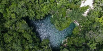 Nominan a la Ruta de los Cenotes en Lo Mejor de México 2024