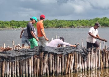 Concluyen Estudiantes de la Universidad de Chapingo sus estancias profesionales