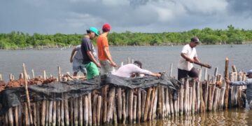 Concluyen Estudiantes de la Universidad de Chapingo sus estancias profesionales