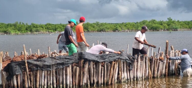 Concluyen Estudiantes de la Universidad de Chapingo sus estancias profesionales