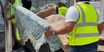 Realizan jornada de descacharrización en colonias Electricistas y La Caribeña de Isla Mujeres