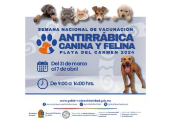 Anuncian en Playa del Carmen semana nacional antirrábica