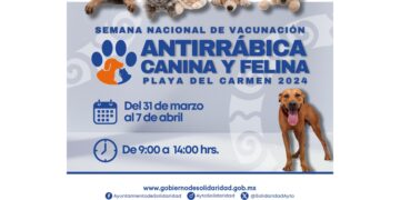 Anuncian en Playa del Carmen semana nacional antirrábica