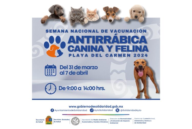 Anuncian en Playa del Carmen semana nacional antirrábica