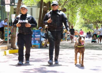 Playa del Carmen cuenta con saldo blanco en esta temporada vacacional