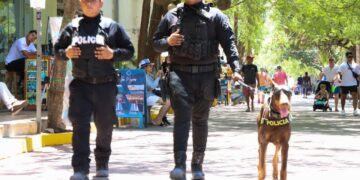 Playa del Carmen cuenta con saldo blanco en esta temporada vacacional