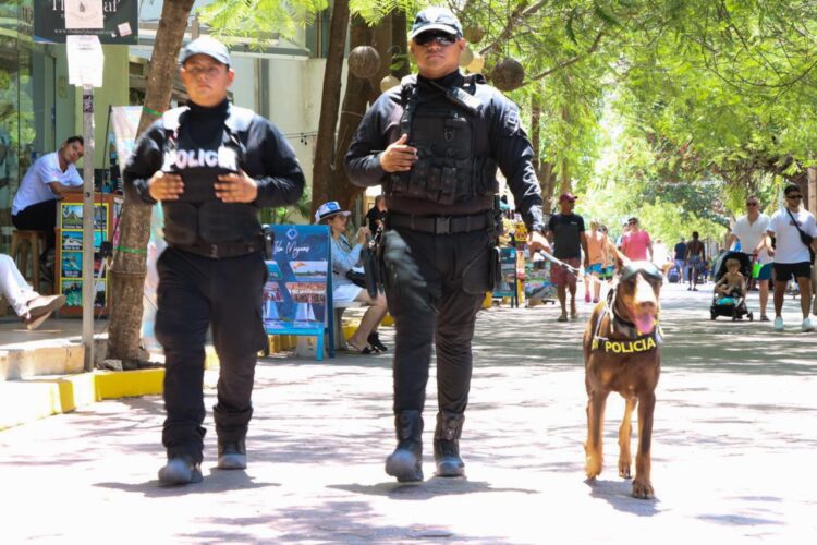 Playa del Carmen cuenta con saldo blanco en esta temporada vacacional