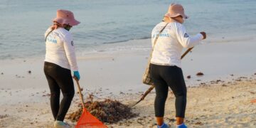 Apoyan en Playa del Carmen proyecto para aprovechamiento del sargazo