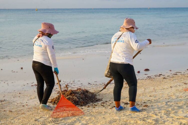 Apoyan en Playa del Carmen proyecto para aprovechamiento del sargazo