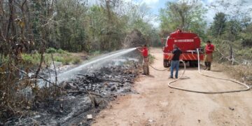 Combaten en Puerto Morelos incendio forestal
