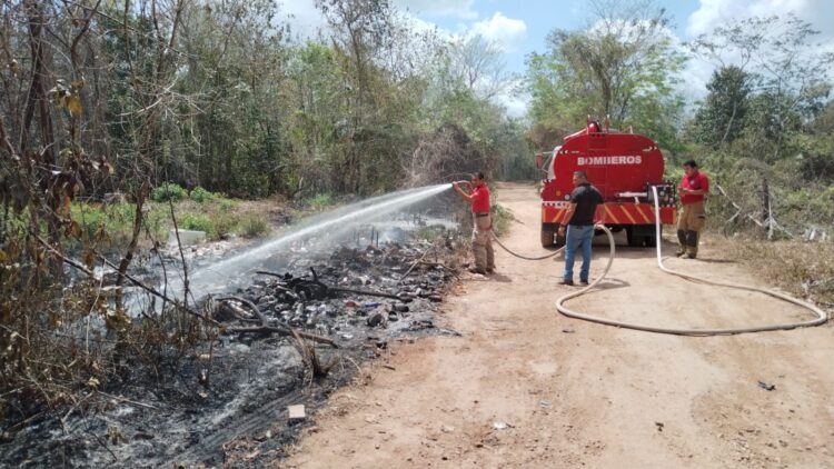 Combaten en Puerto Morelos incendio forestal