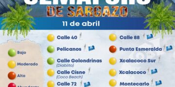 Conoce y consulta el semáforo de sargazo en Playa del Carmen